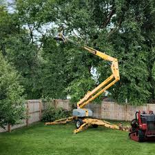 Lawn Grading and Leveling in Murphys, CA